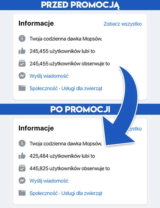 kup polubienia strony na fb - wypromowani.pl