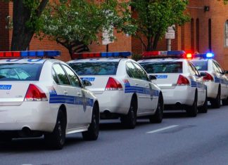Test wiedzy do Policji w 2019 roku. Co trzeba wiedzieć?