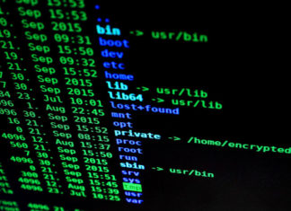 Cyberbezpieczeństwo w firmie - dlaczego ma znaczenie?