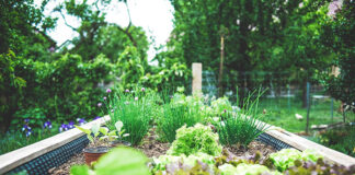 Artykuły pomocne przy pielęgnacji ogrodu