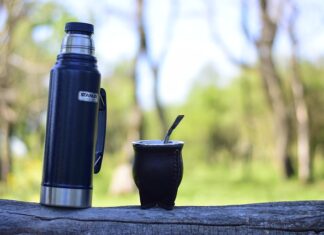 Czy warto pić yerba mate