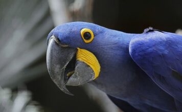 Co jest największą wartością człowieka? Co jest największą wartością człowieka?