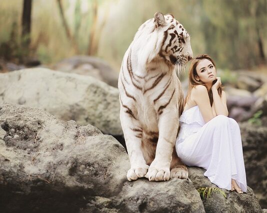 Jakie są główne cele ochrony przyrody?